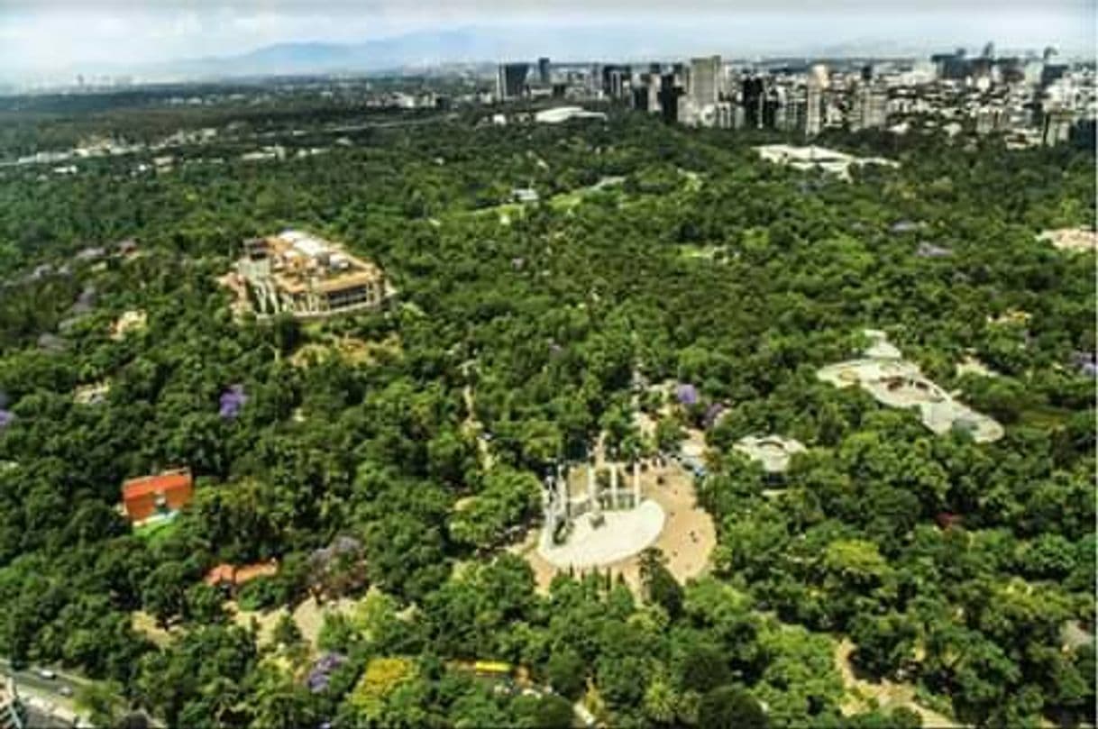 Place Bosque de Chapultepec