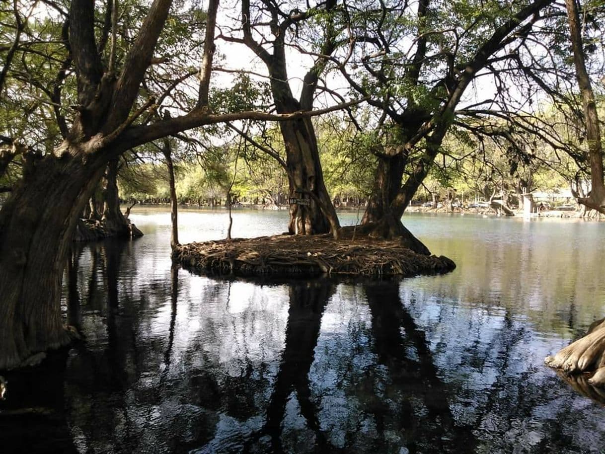 Lugar Lago de Camécuaro