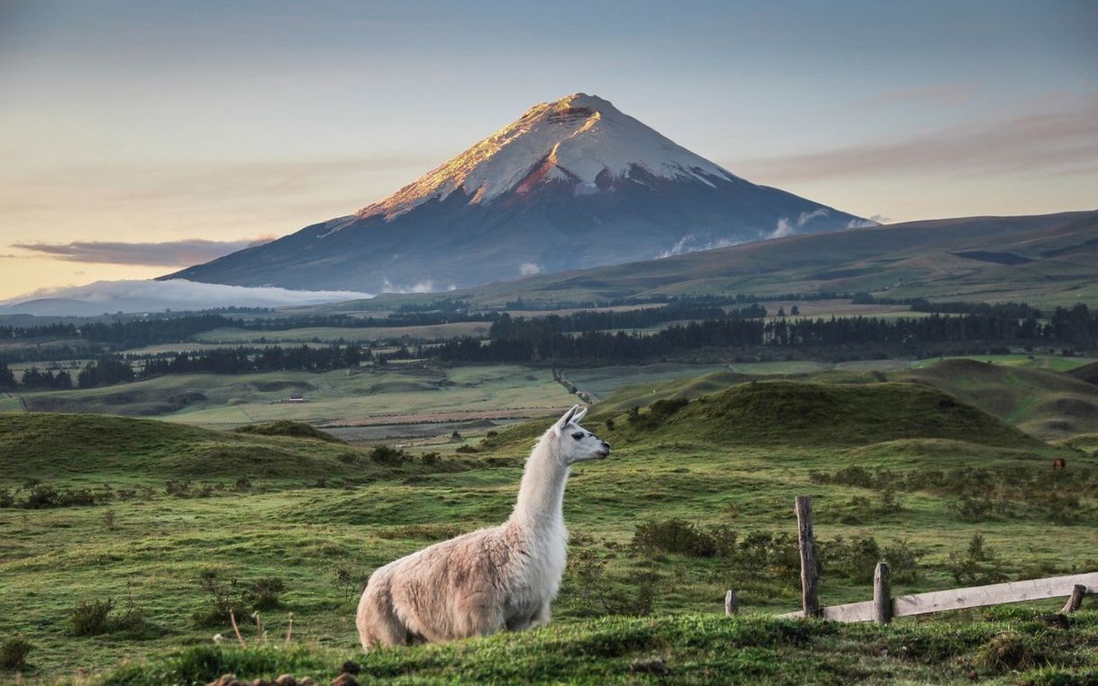 Place Ecuador