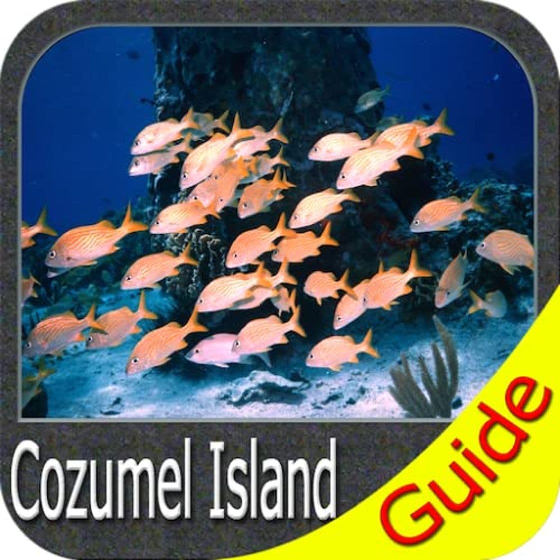 Product Cozumel Island GPS Navigator