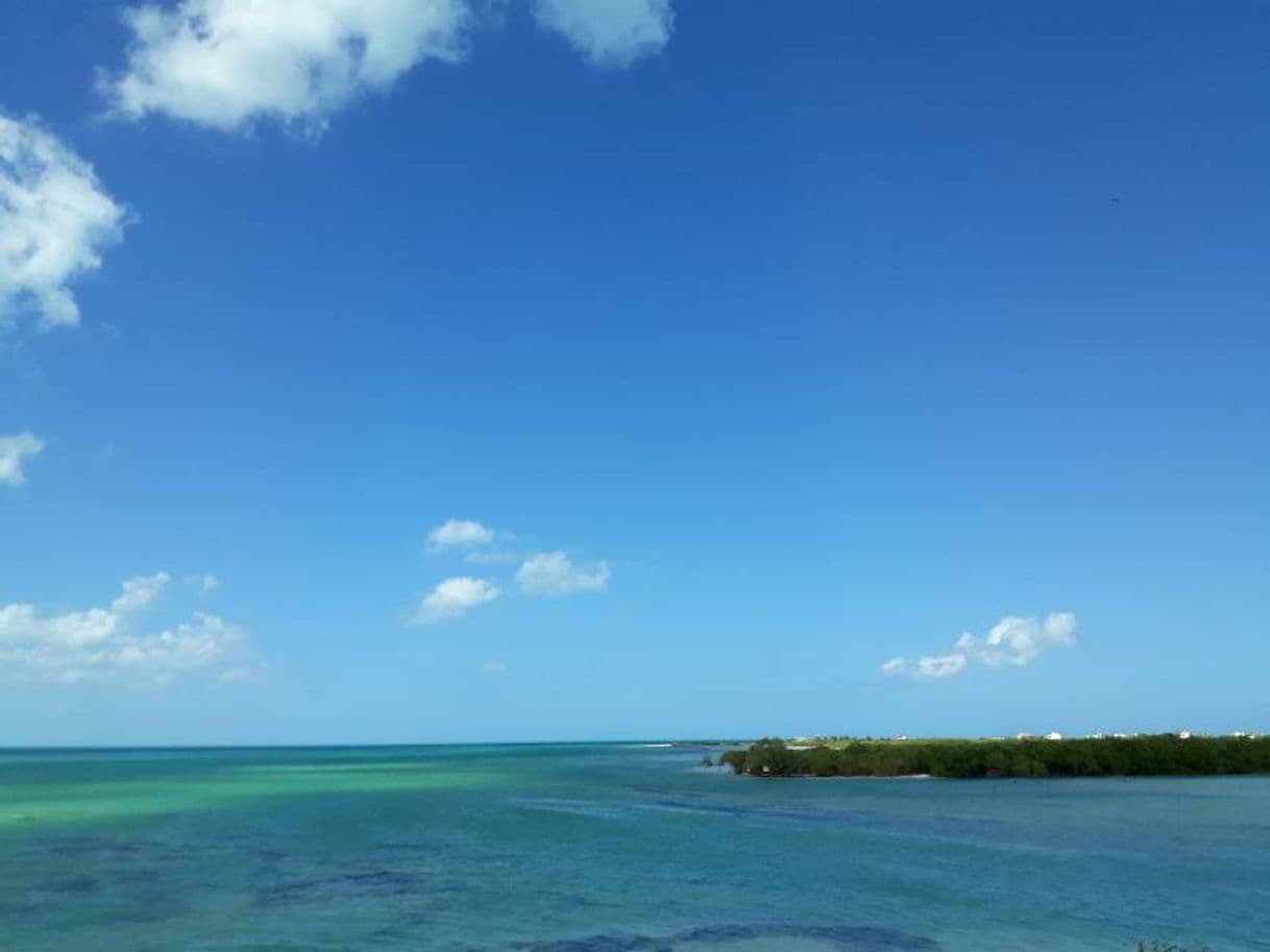 Lugar Isla de Holbox