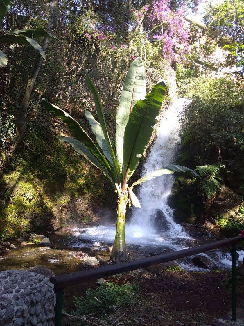 Place Parque Nacional