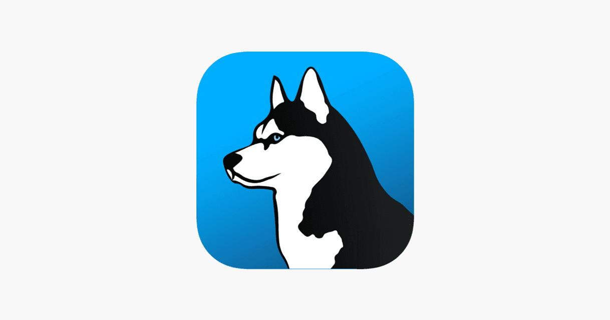 App Phone guardián 🐕