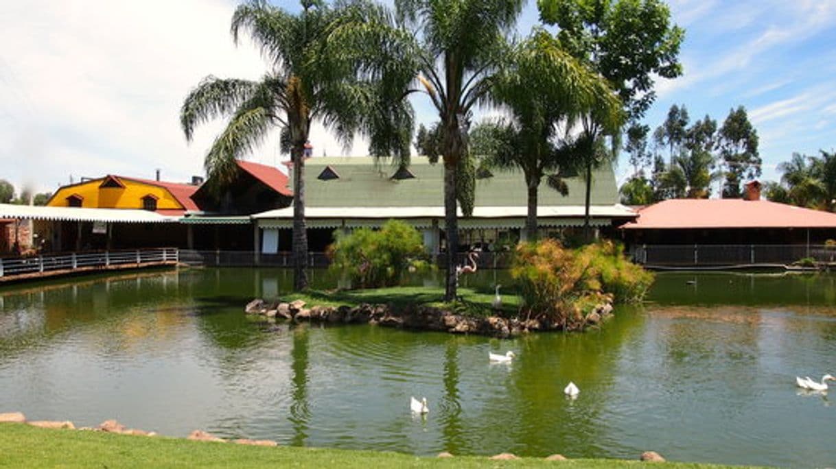 Restaurants Hacienda Coyotes