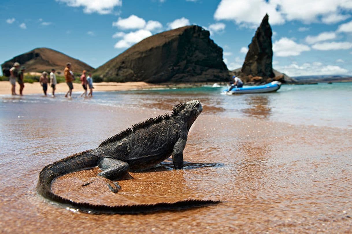 Lugar Galapagos