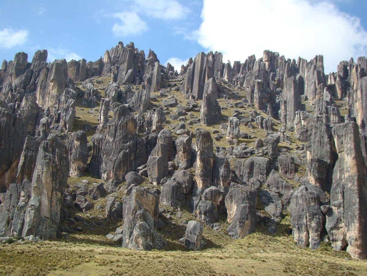 Lugar Bosque de Piedras de Huayllay