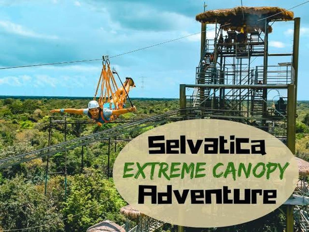 Place Selvatica - The Adventure Tribe