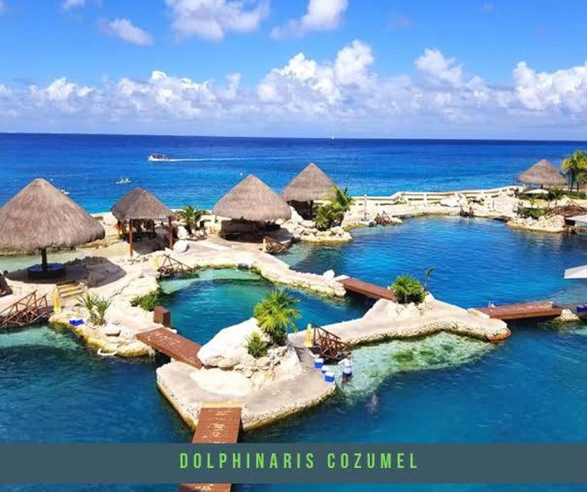 Place Dolphinaris Cozumel