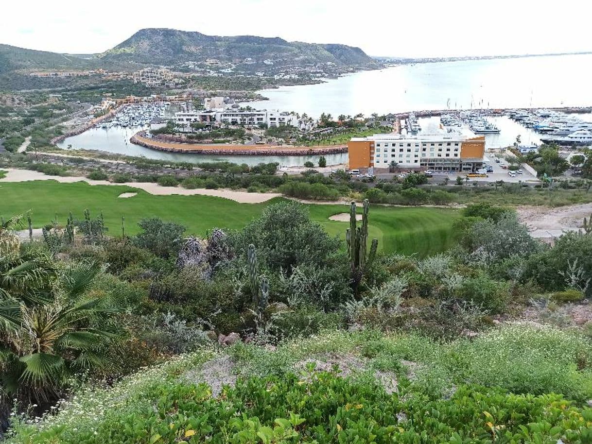 Restaurantes El Cortes Gary Player Signature Golf Club