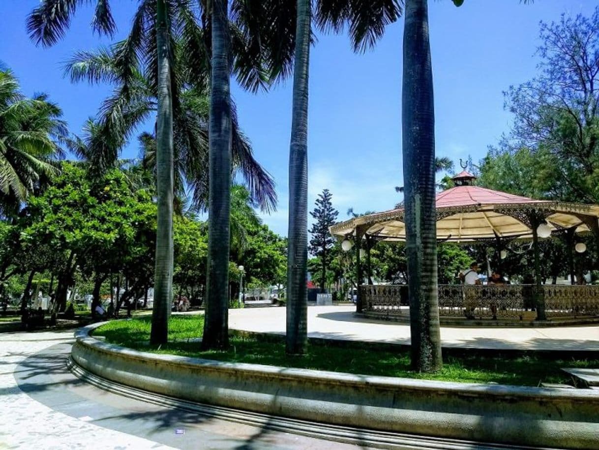 Place Parque Zamora