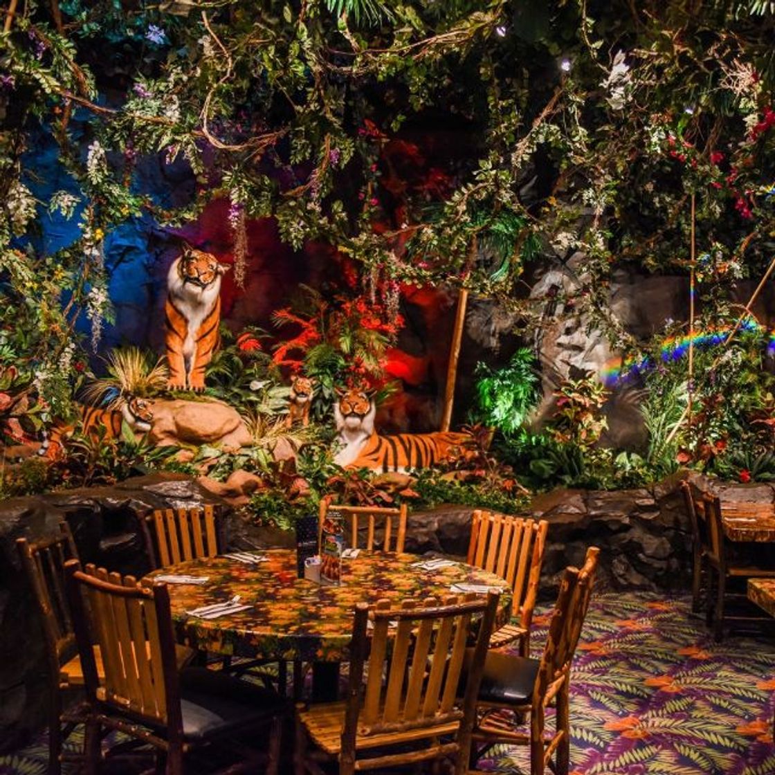 Restaurantes Rainforest Cafe