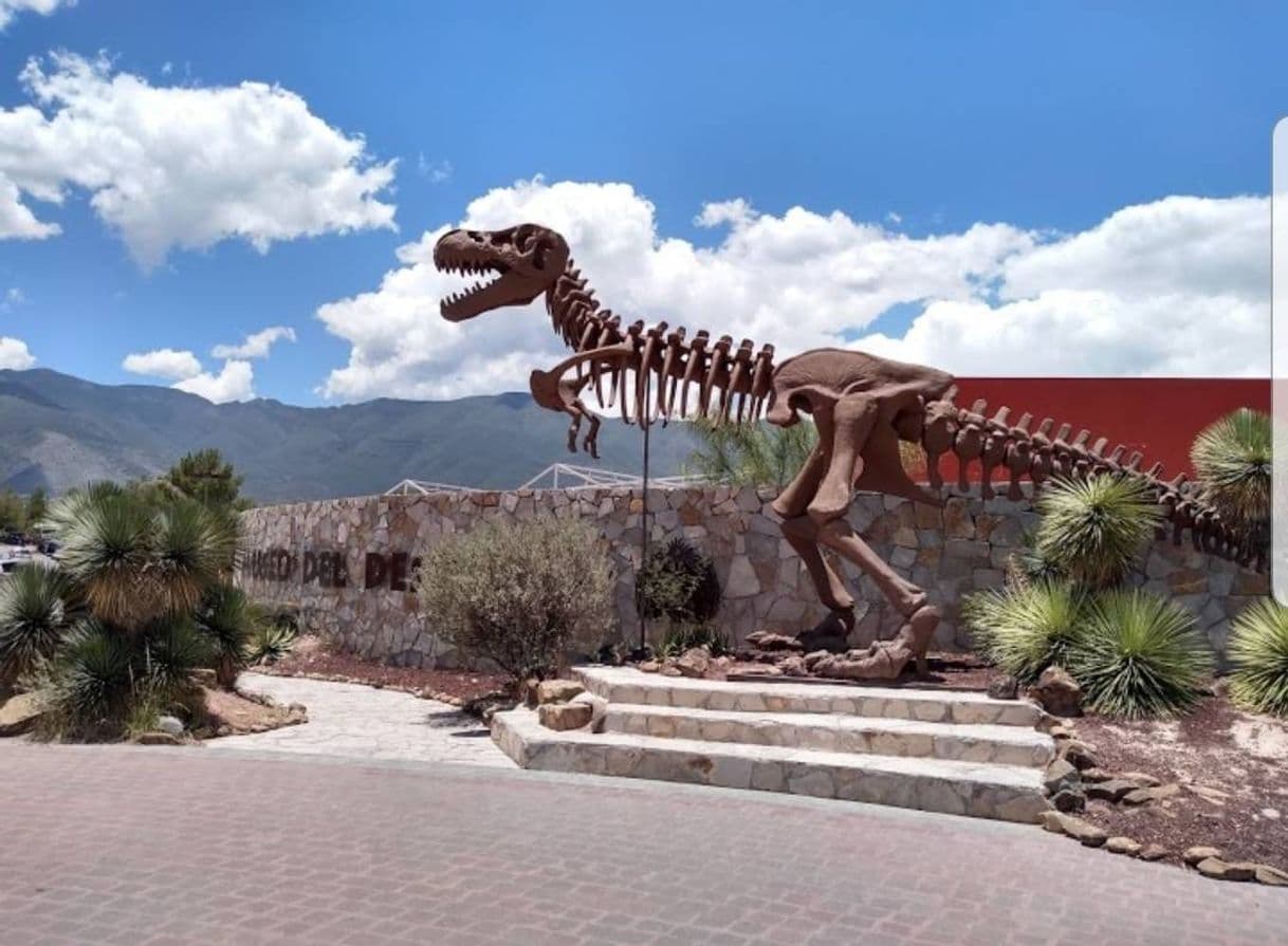 Lugar Museo del Desierto