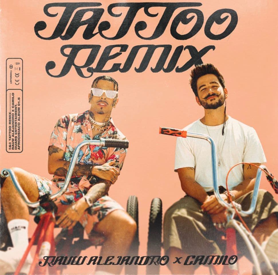 Canción TATTO - REMIX / RAUW ALEJANDRO & CAMILO (SPOTIFY)