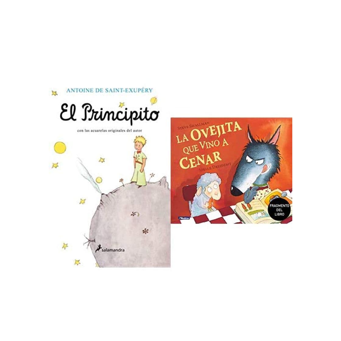 Book El Principito (Infantil)