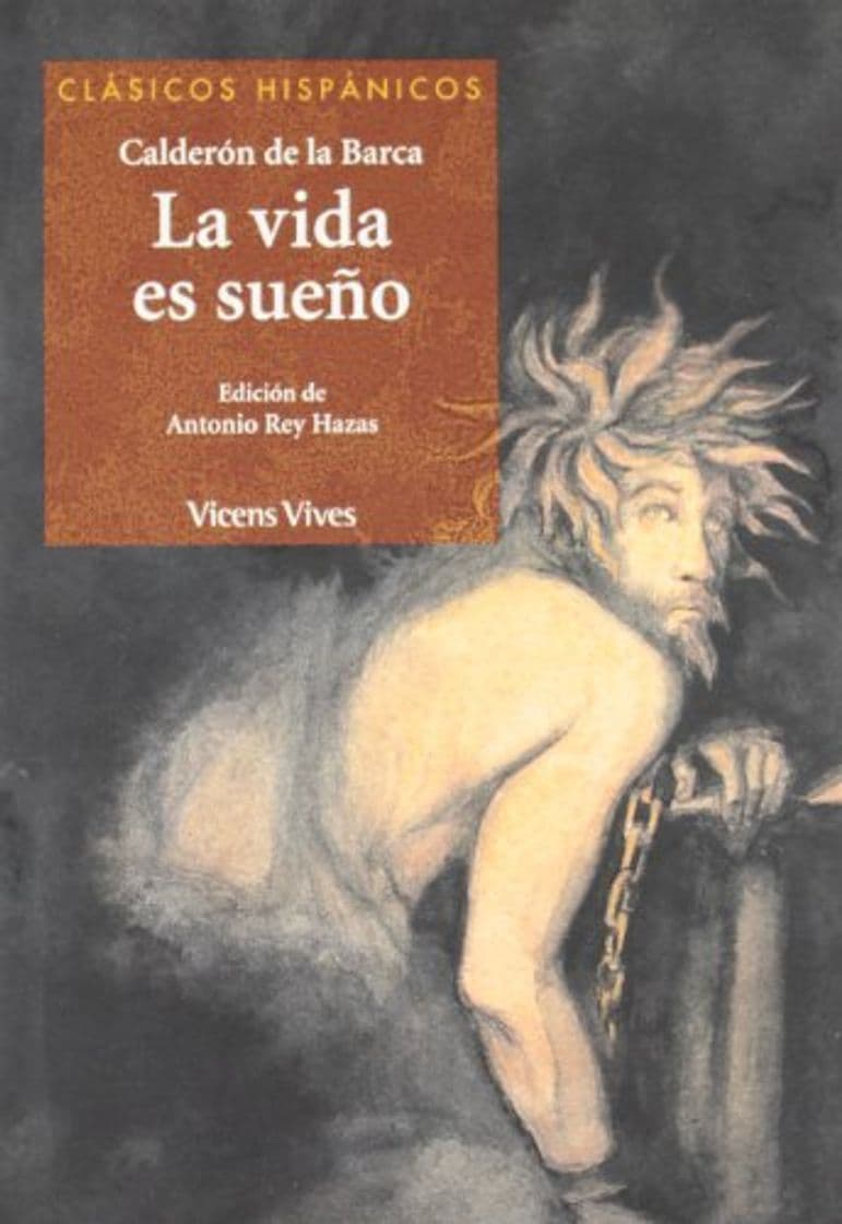 Book La Vida Es Sueño