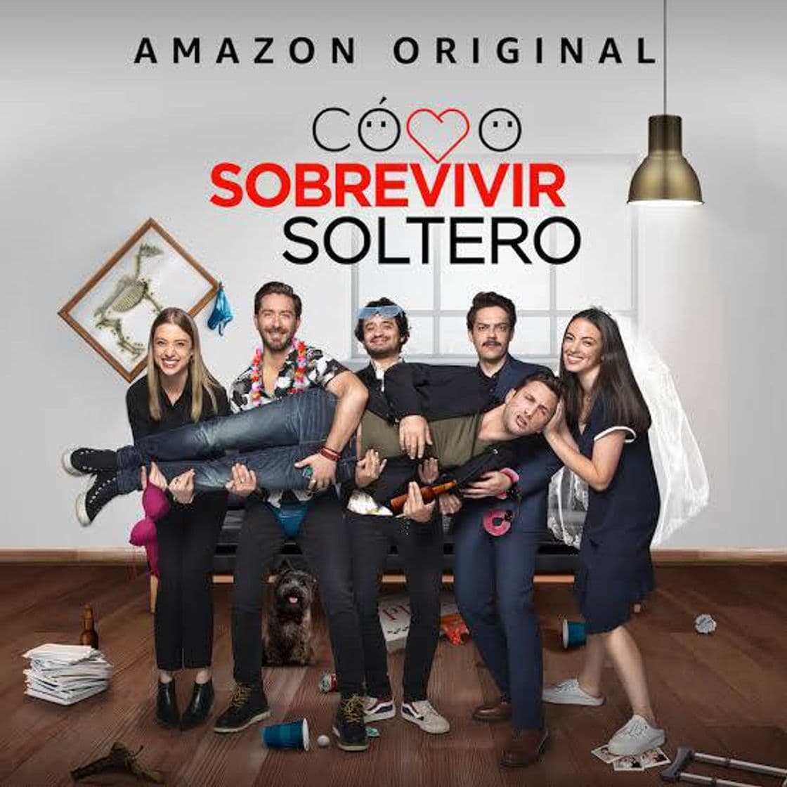 Serie Como sobrevivir soltero.