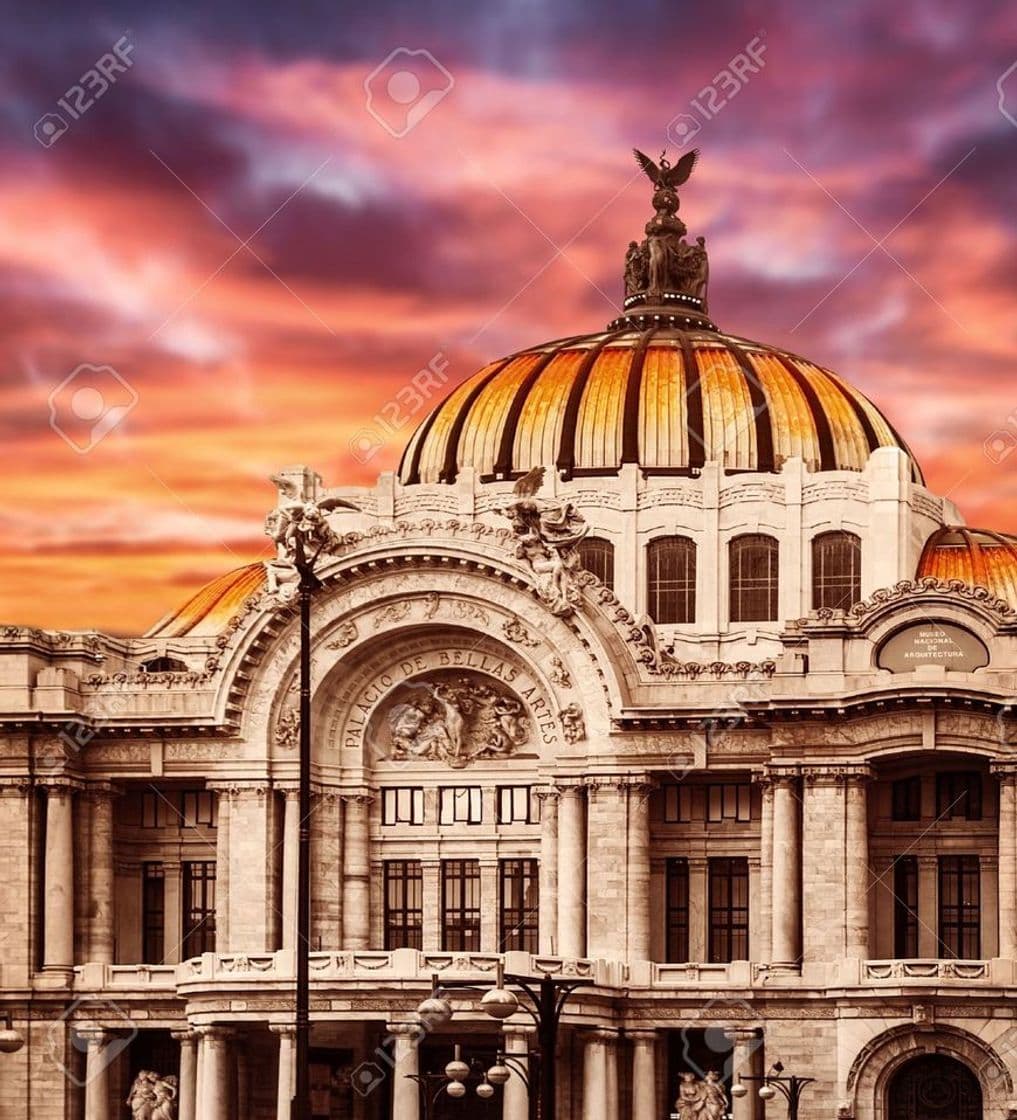 Place Palacio de Bellas Artes