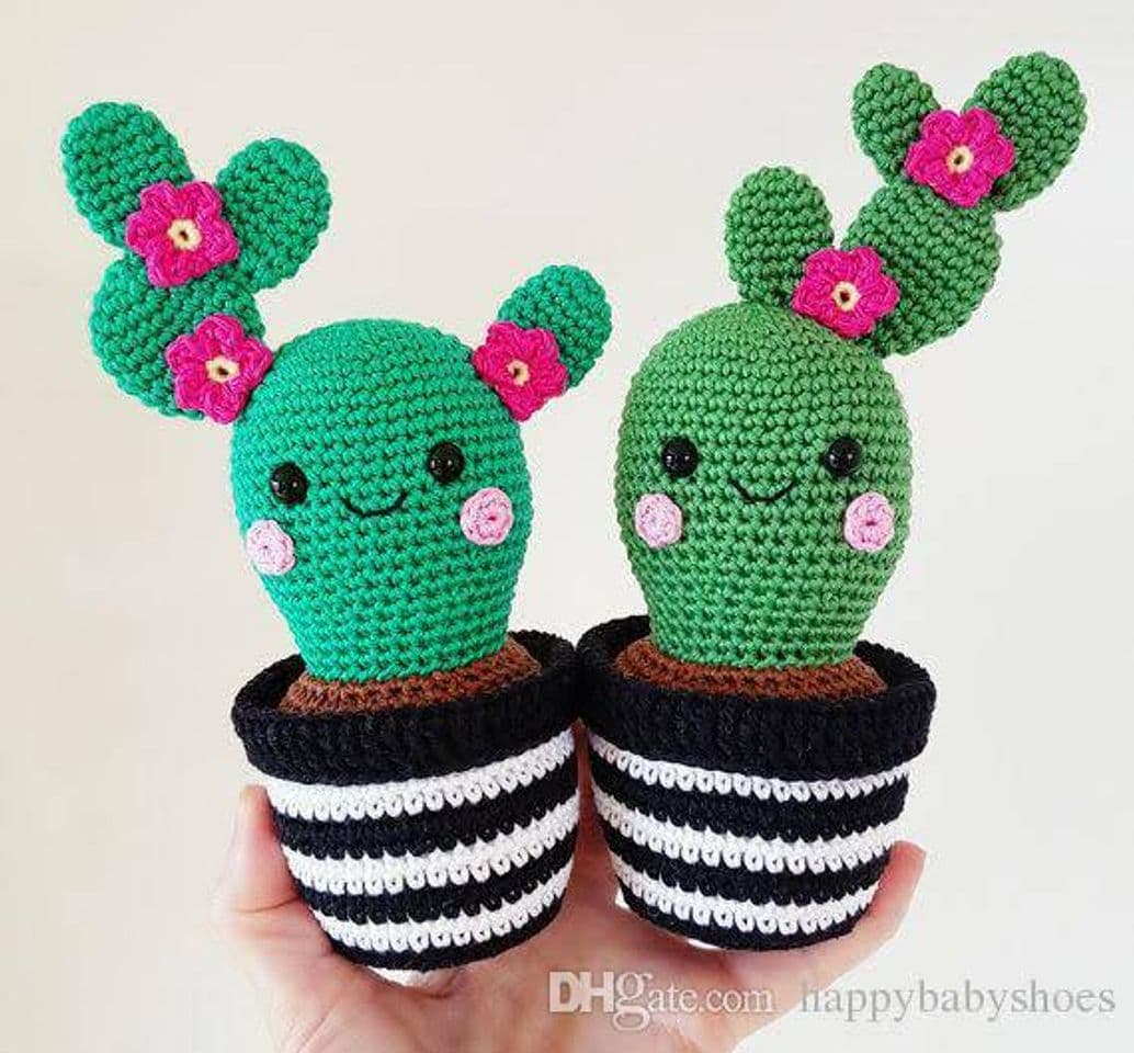 Fashion Cactus