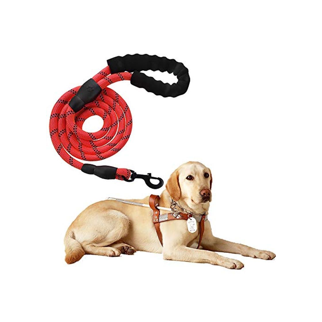 Producto Litthing Correas para Perros Nylon con Mango Acolchado Ajustable Negro Sólido Reflectante