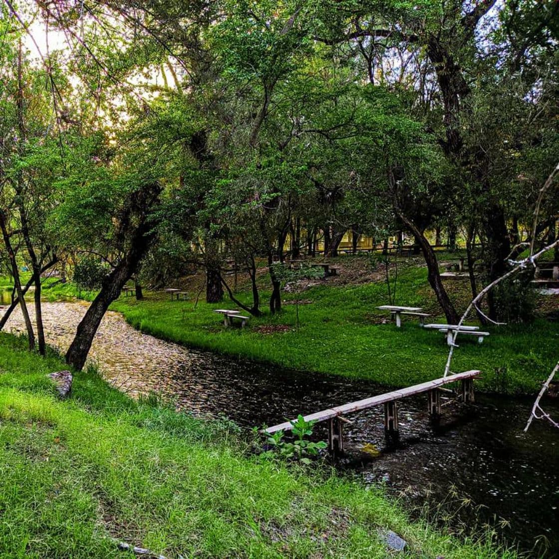 Place Los Chorros De Tala