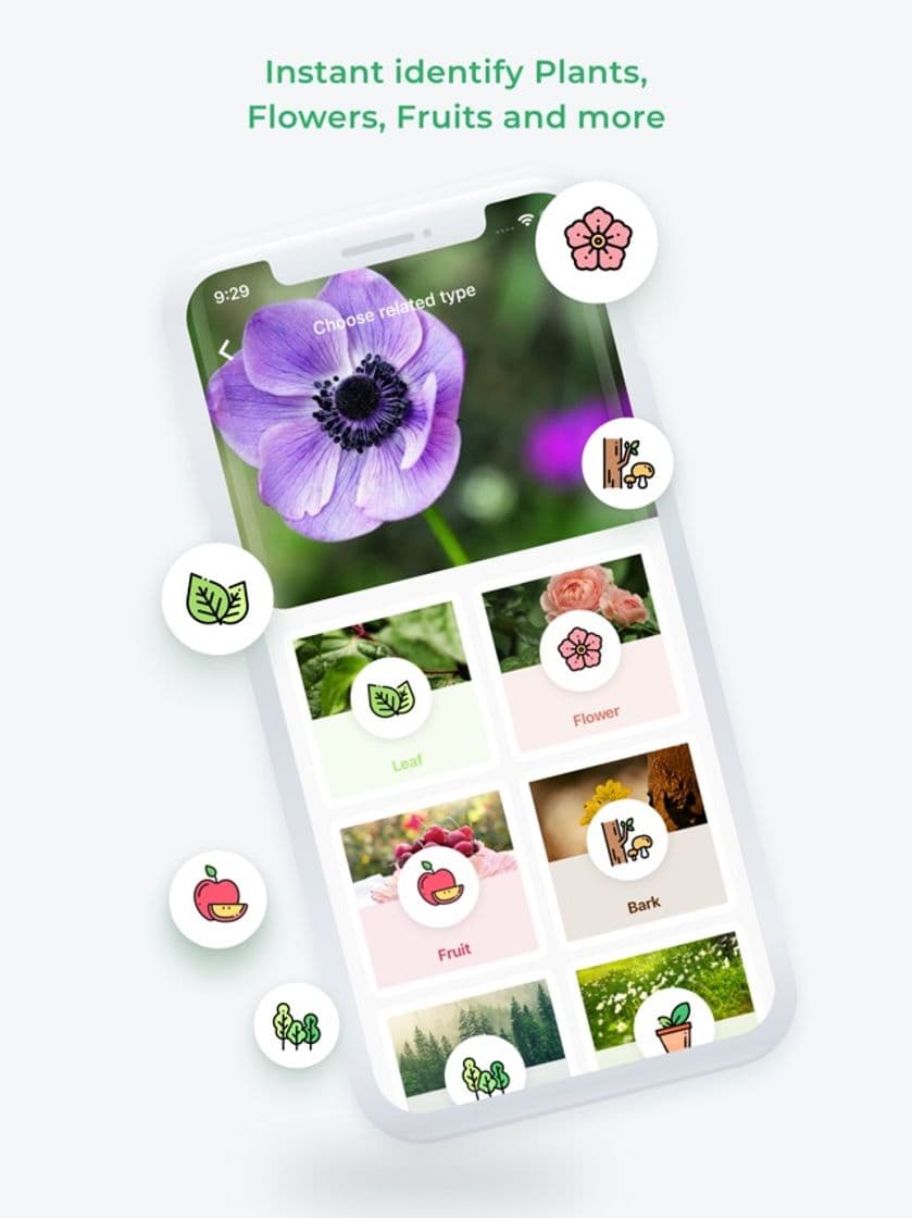 App Plant Identification ++