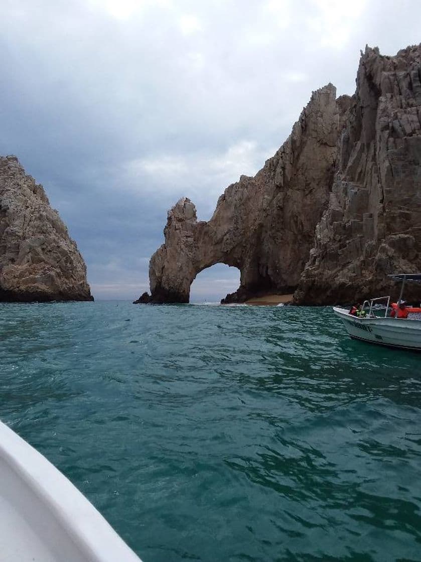 Place Los Cabos