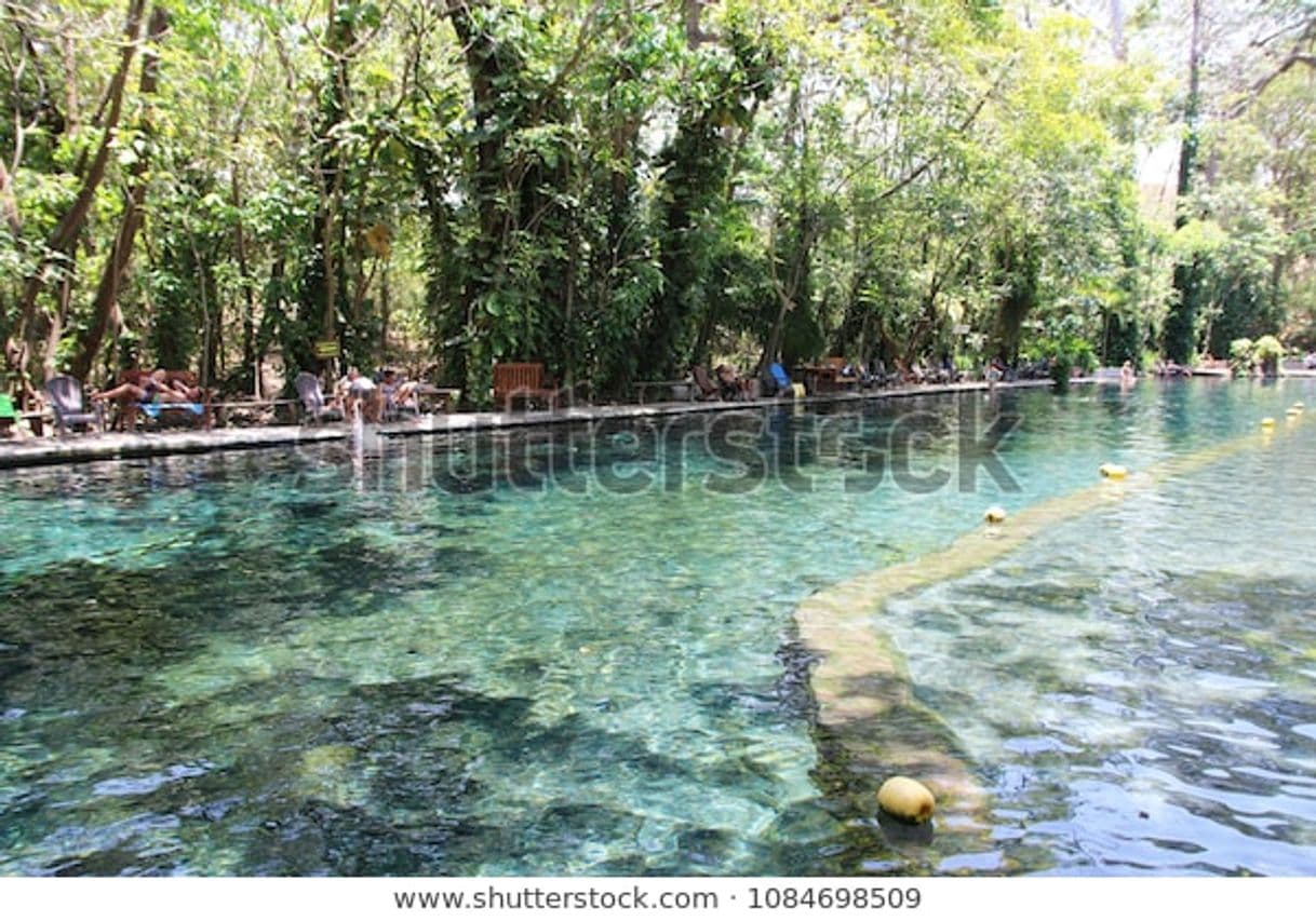 Restaurants Ojo de Agua