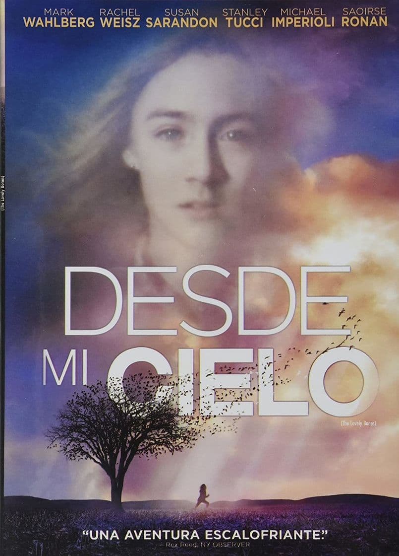 Book Desde mi cielo 