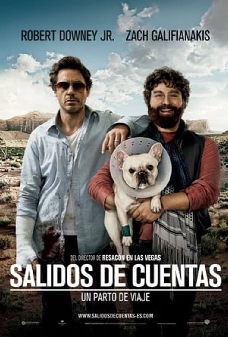 Película Due Date