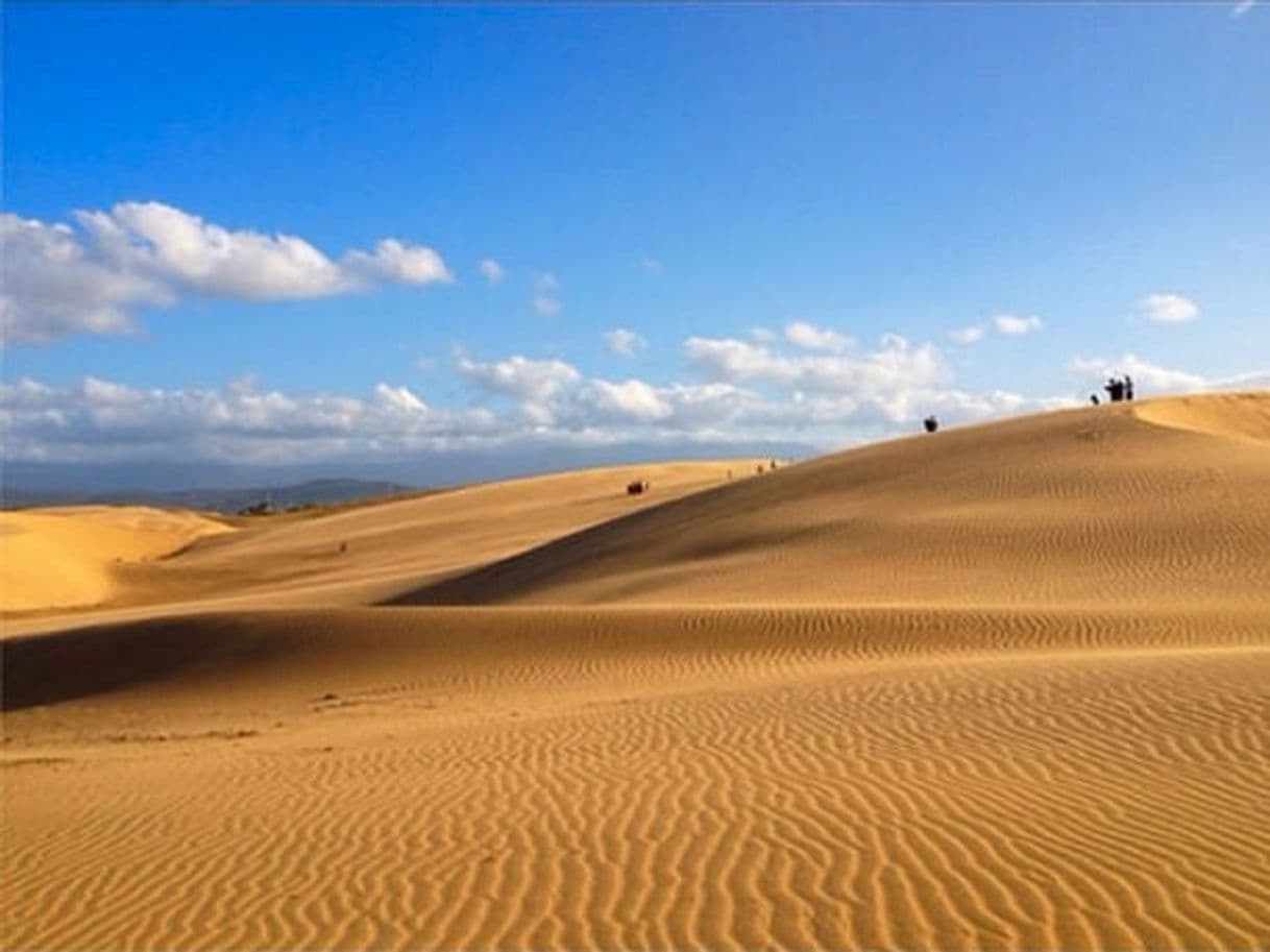 Lugar Los Medanos