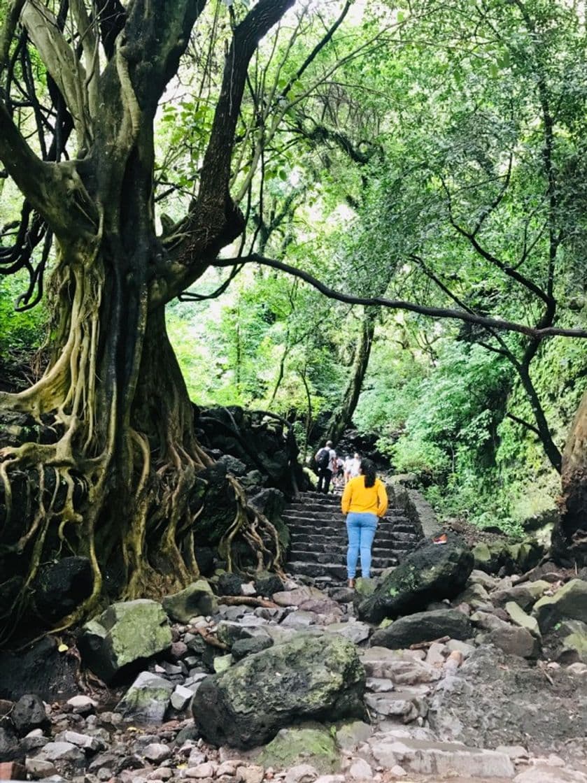 Lugar Tepoztlán