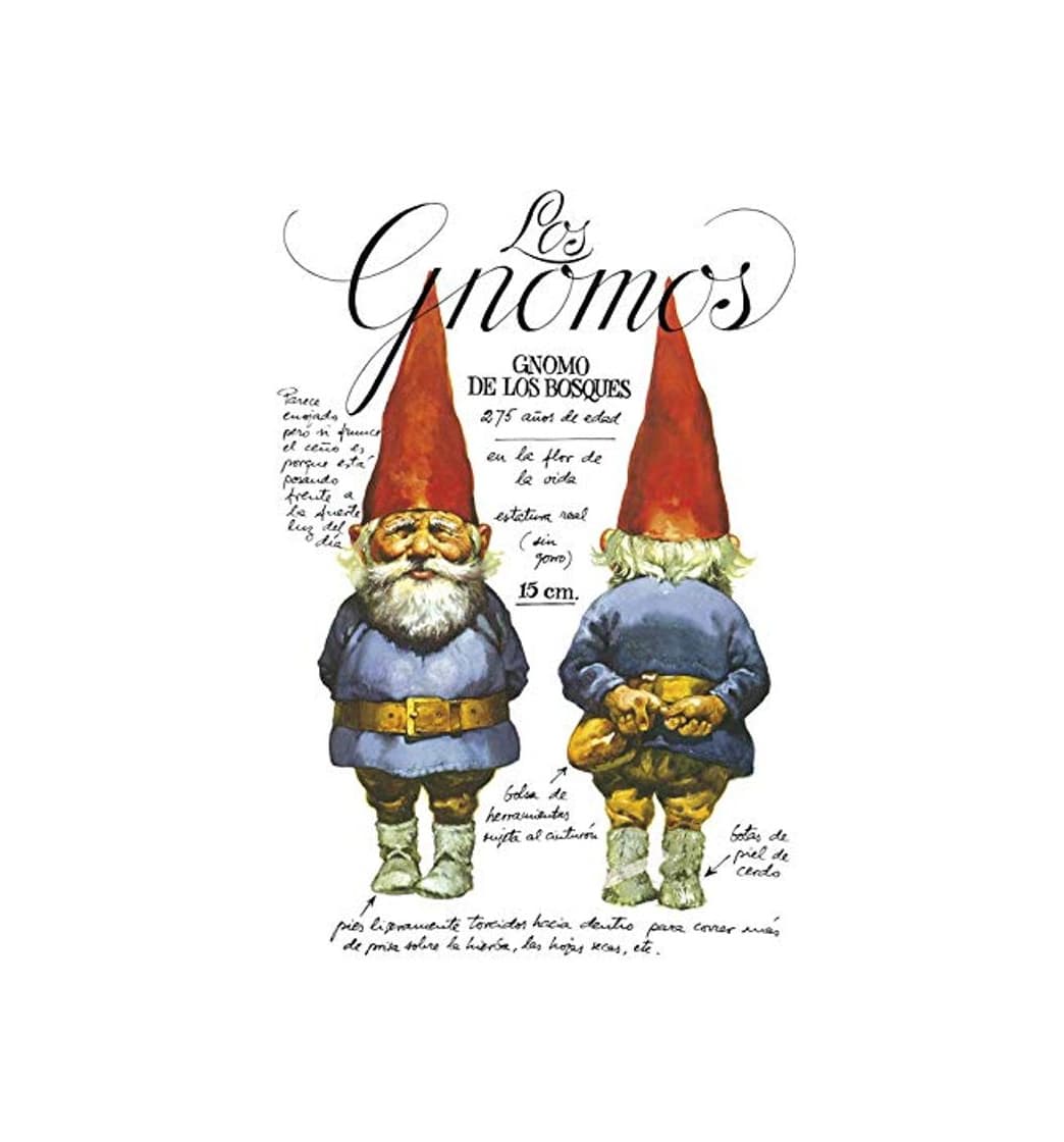 Book Los gnomos