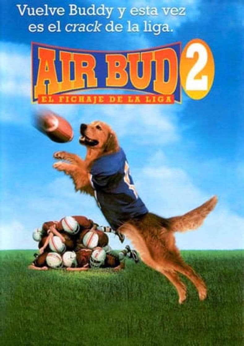 Película Air Bud: Golden Receiver