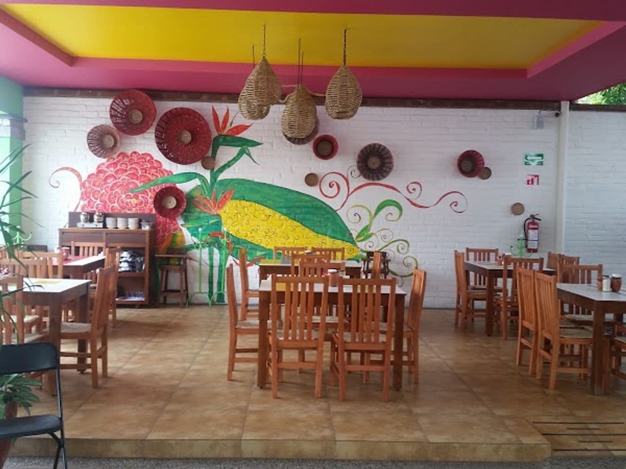 Restaurants Restaurant Vegetariano Quetzalcoatl Suc. Lagos del Country