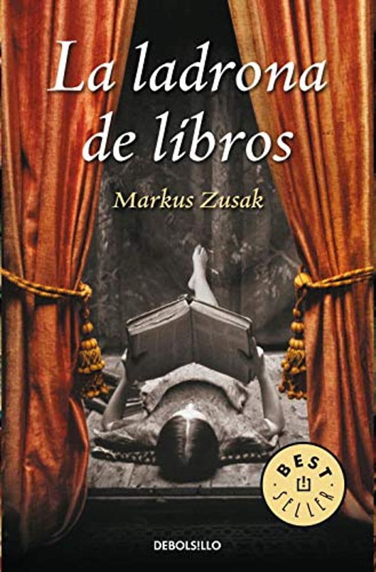 Libro La ladrona de libros