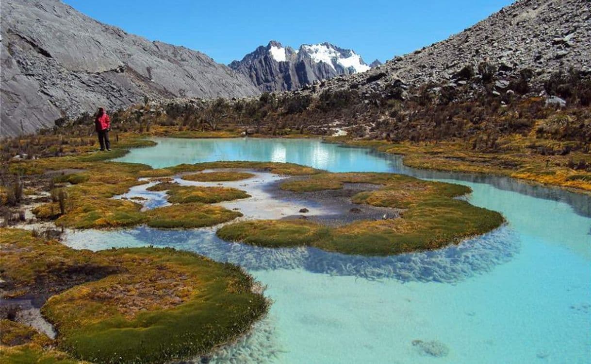 Lugar Parque Nacional Natural El Cocuy