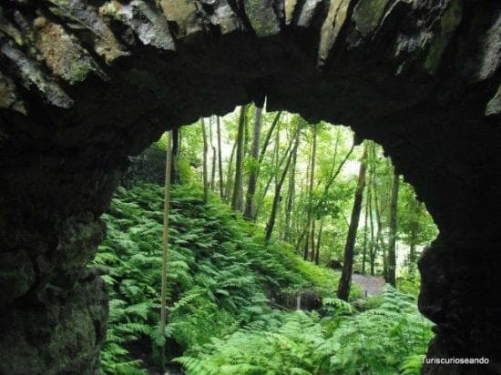 Place Cubo De La Galga (Bosque Helechos)