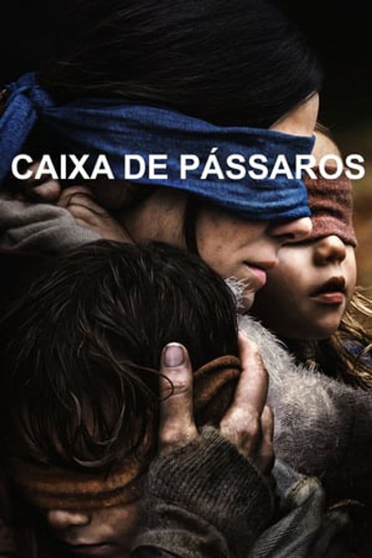 Película Bird Box