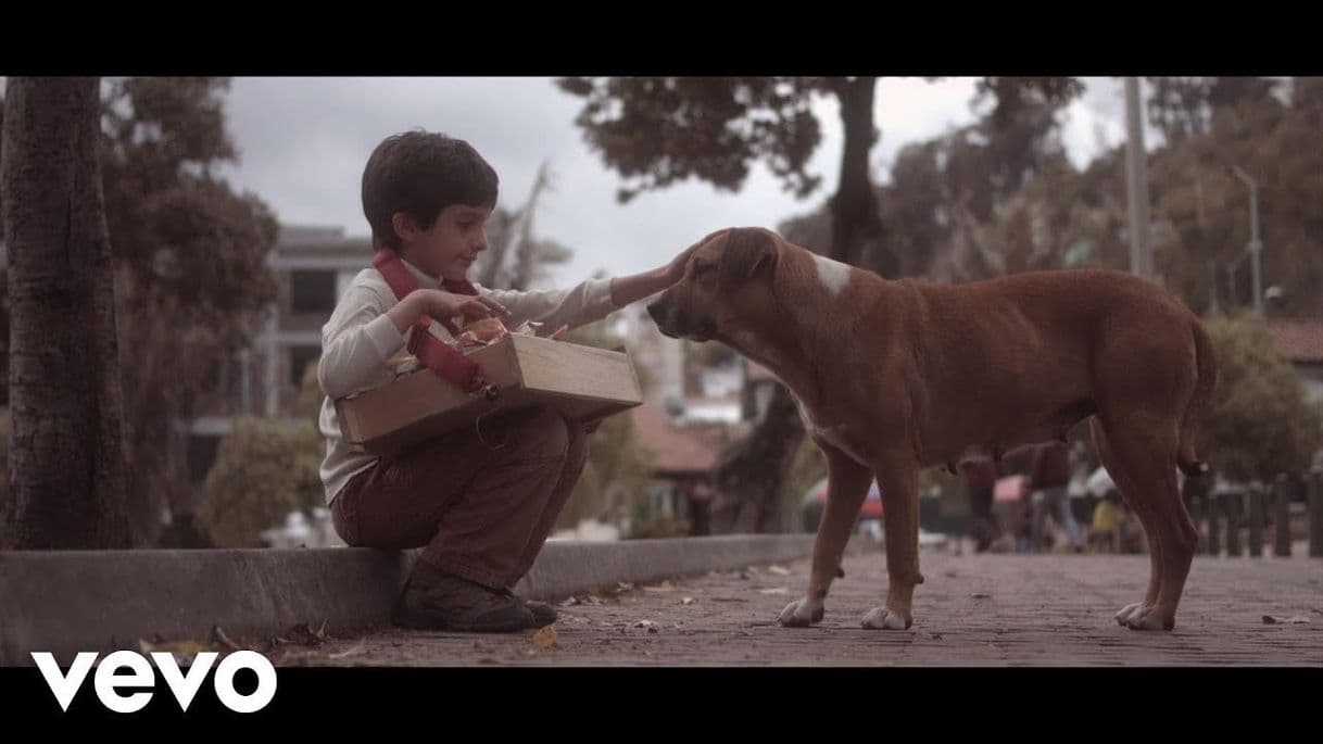 Canción Morat - Aprender A Quererte (Video Oficial) - YouTube