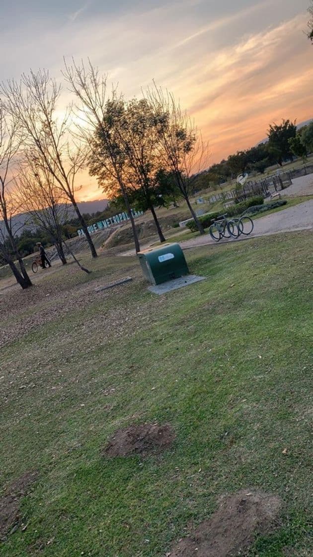 Place Parque Metropolitano