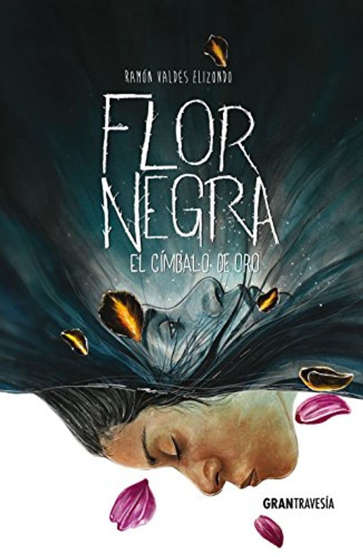 Book Flor Negra: El Címbalo de Oro