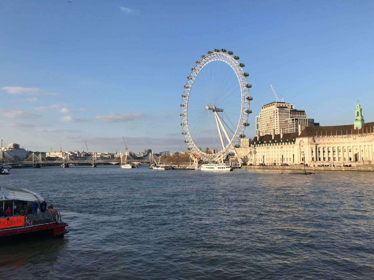 Place London Eye