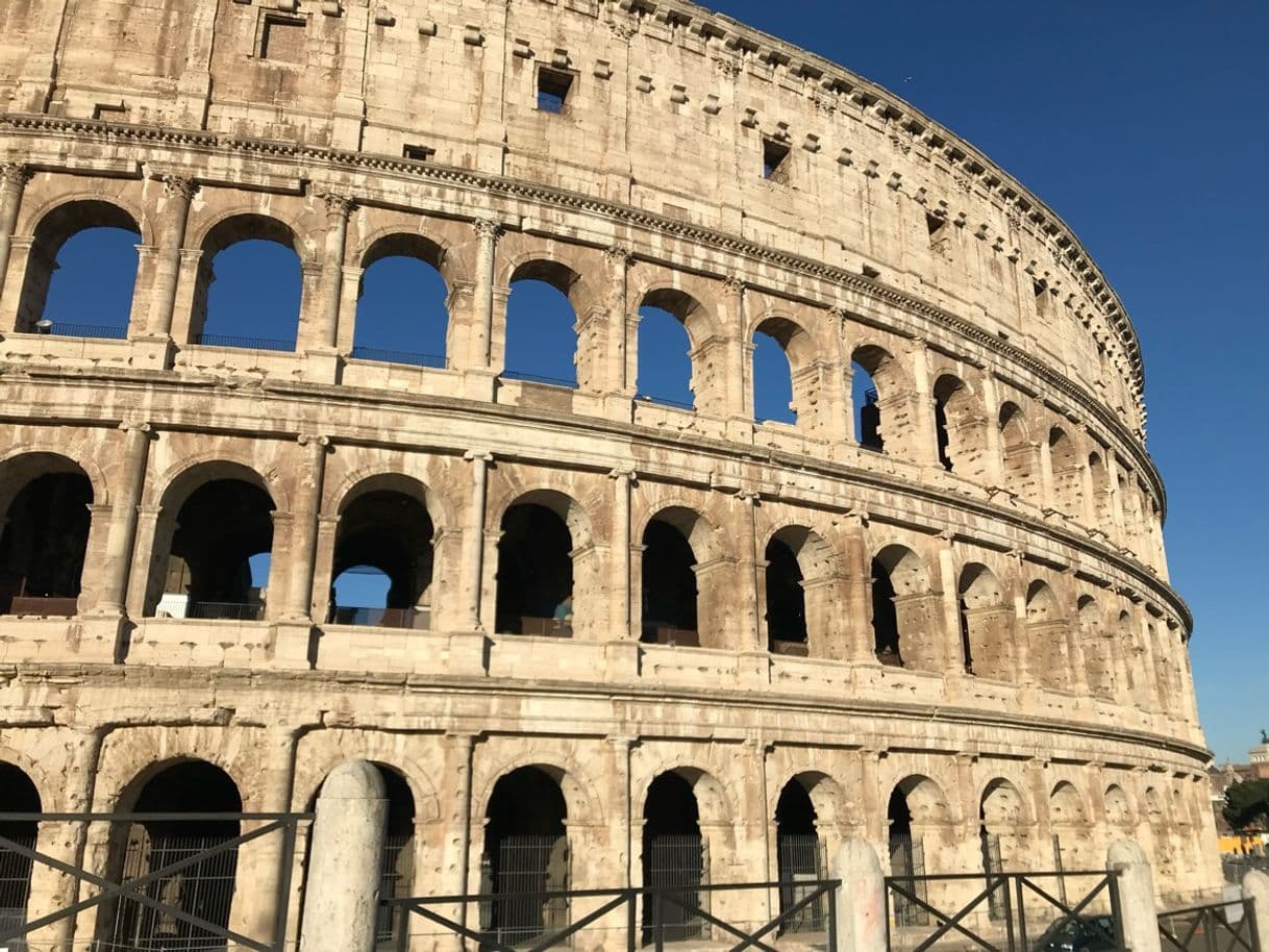 Lugar Coliseo de Roma