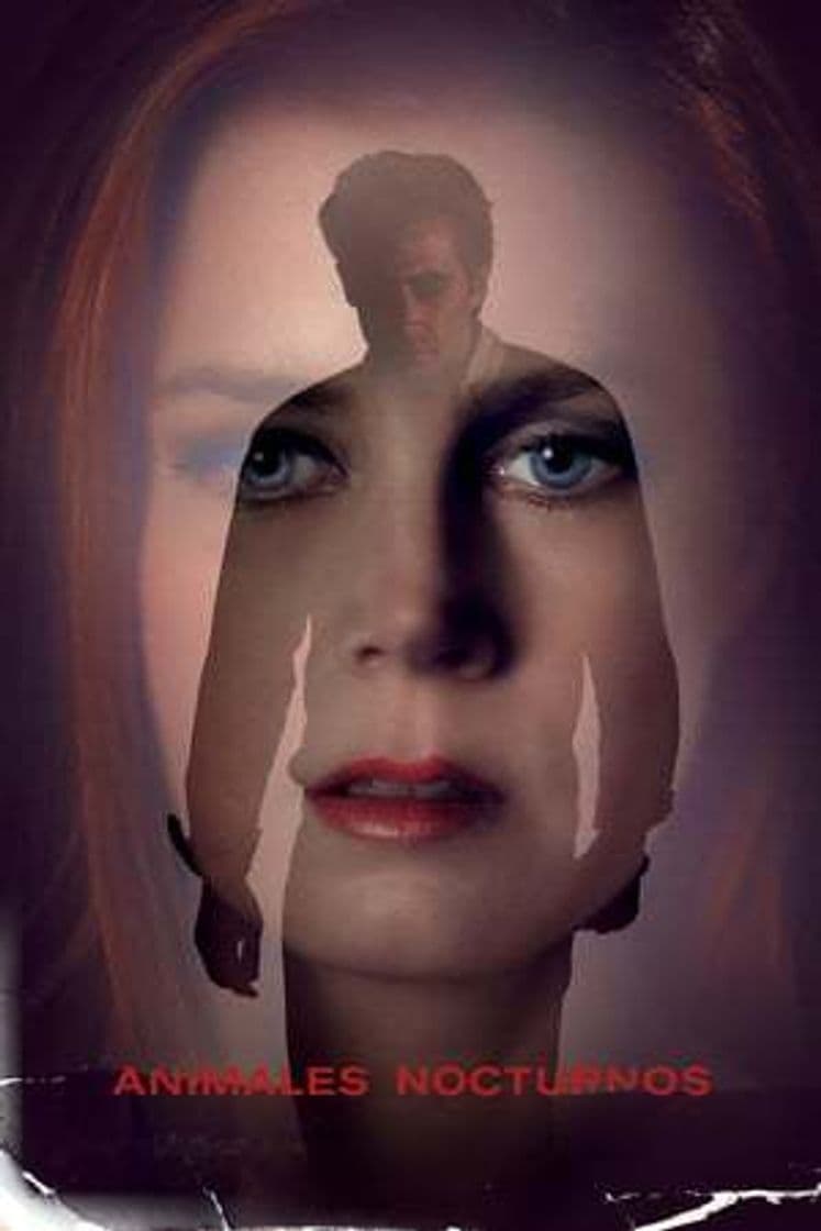 Película Nocturnal Animals