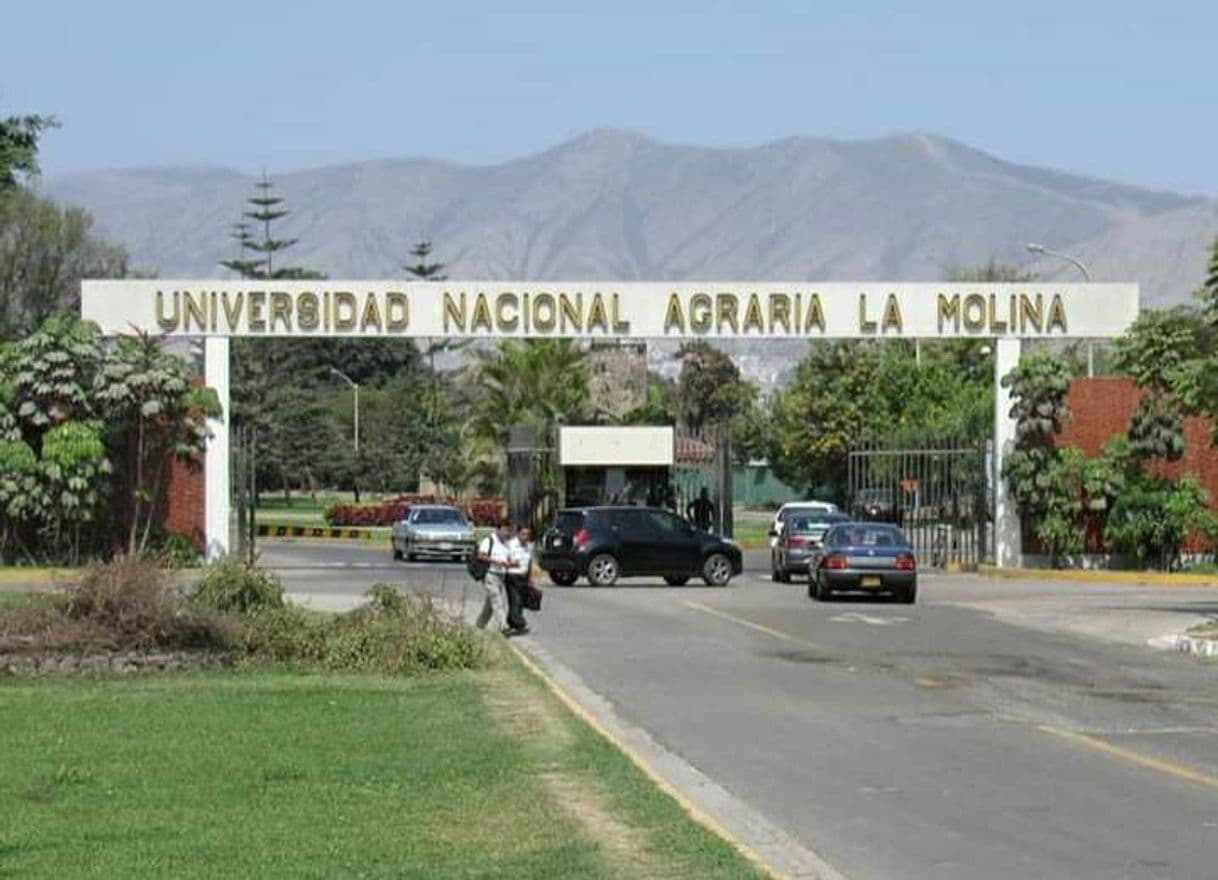 Place Universidad Nacional Agraria La Molina