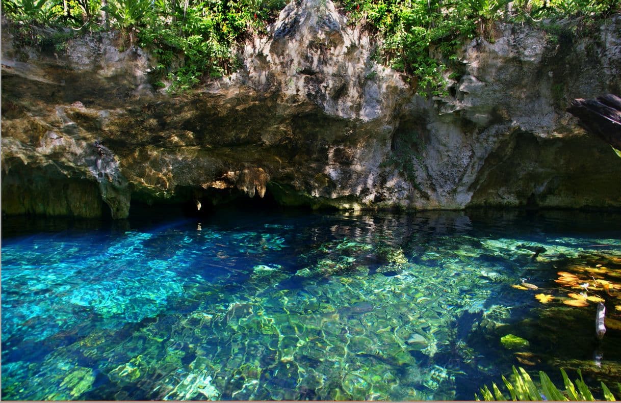 Place Ruta de los cenotes, puerto morelos Qroo