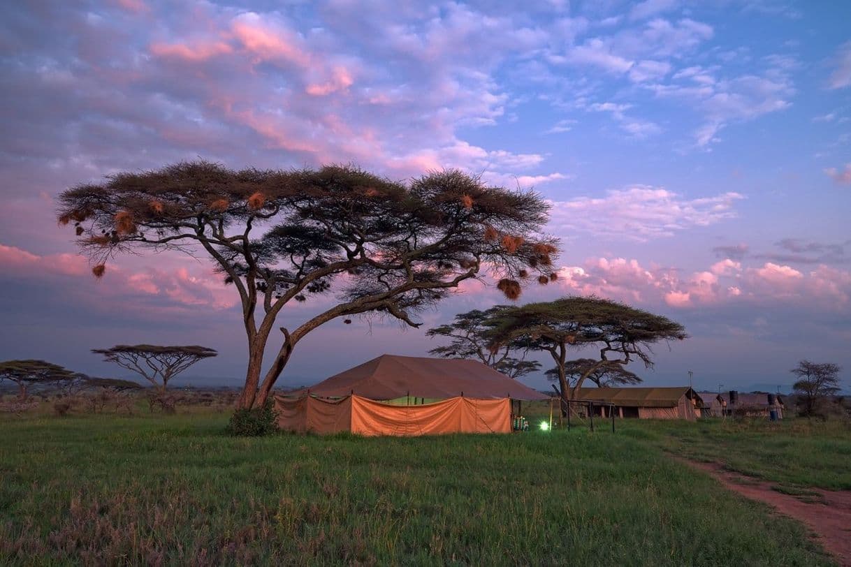 Lugar Tanzania