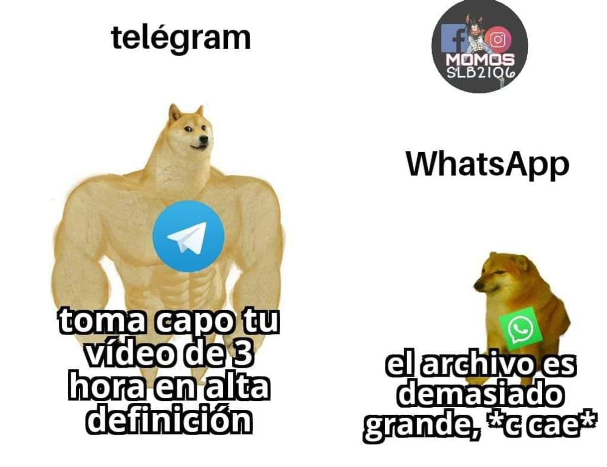 App Telegram Messenger