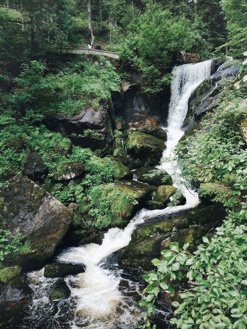 Place Triberg