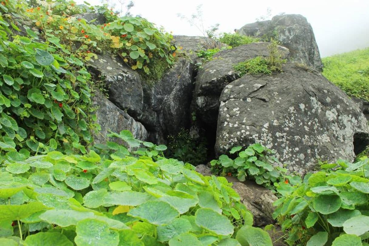 Place Las Lomas de Paraíso Vmt